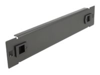 DeLOCK Network Cabinet Blind Cover Rack blind cover panel Sort
