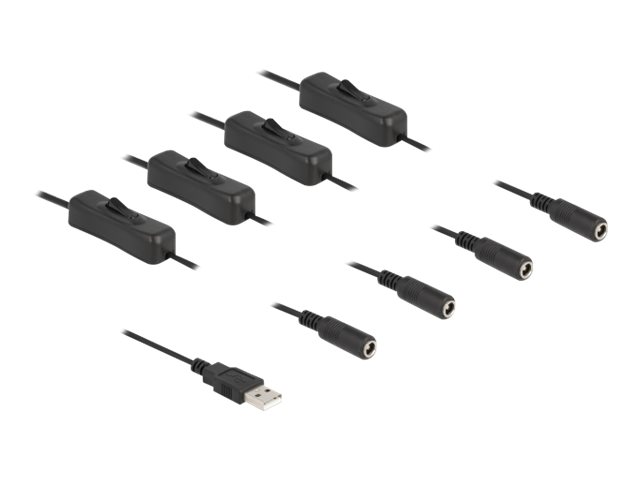 DeLOCK 4 pin USB Type A (male) - Strøm DC jackstik 5,5 mm (ID 2,1 mm) (female) Sort 1m Strøm-splitter