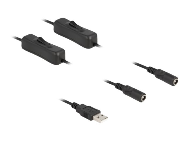 DeLOCK 4 pin USB Type A (male) - Strøm DC jackstik 5,5 mm (ID 2,1 mm) (female) Sort 1m Strøm-splitter