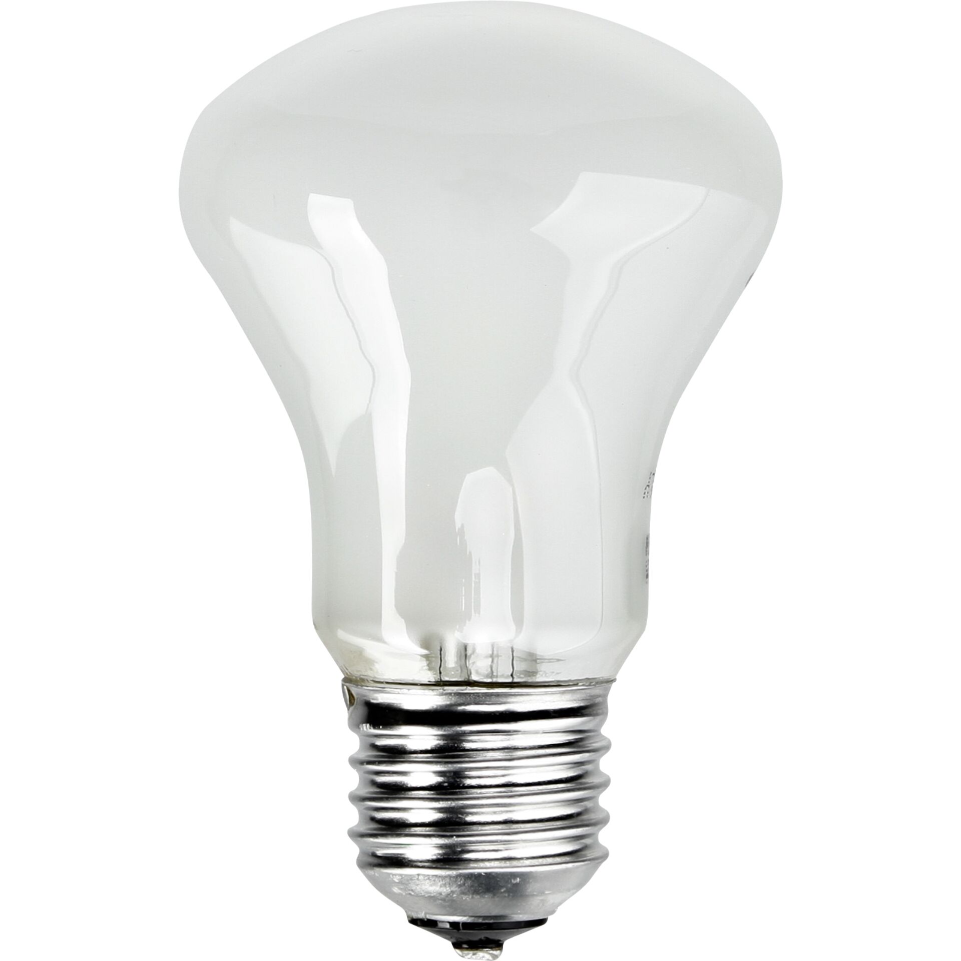 Elinchrom adjsustment light 196V/100W E 27