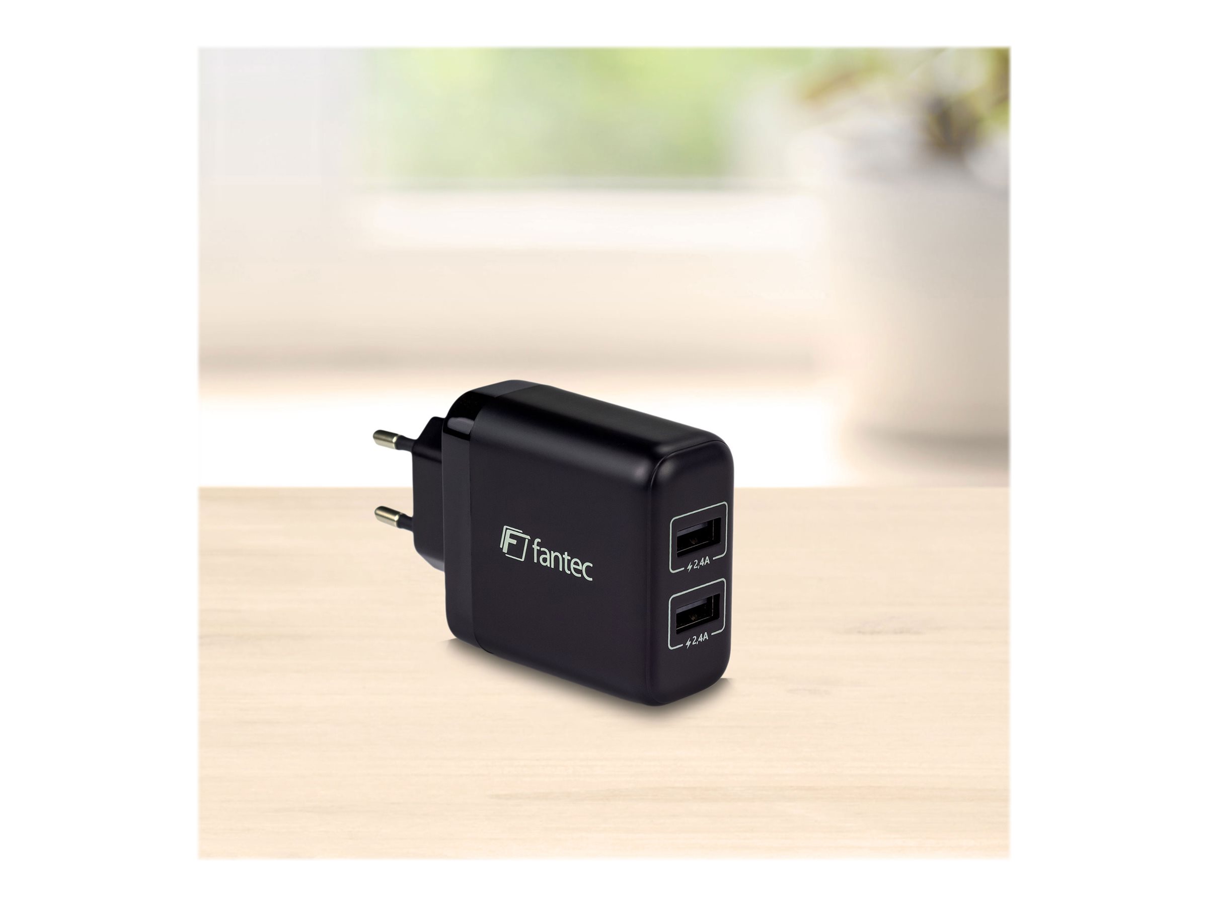 FANTEC 24Watt Strømforsyningsadapter