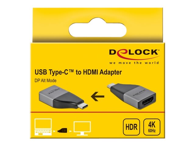 DeLOCK Videointerfaceomformer