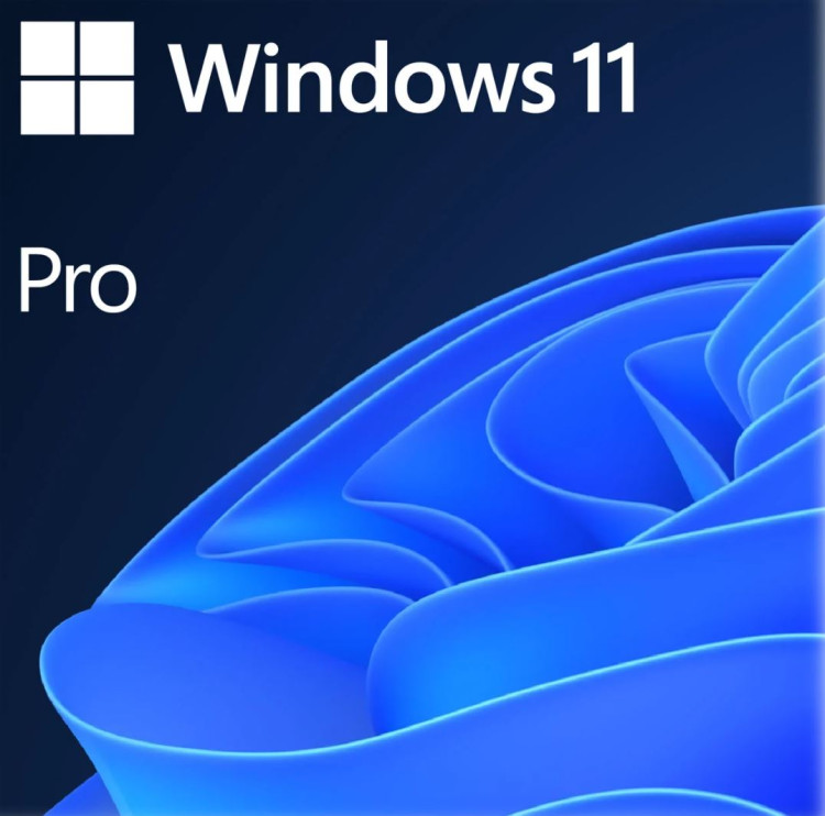 Windows 11 Pro 64Bit English OS DVD OEM