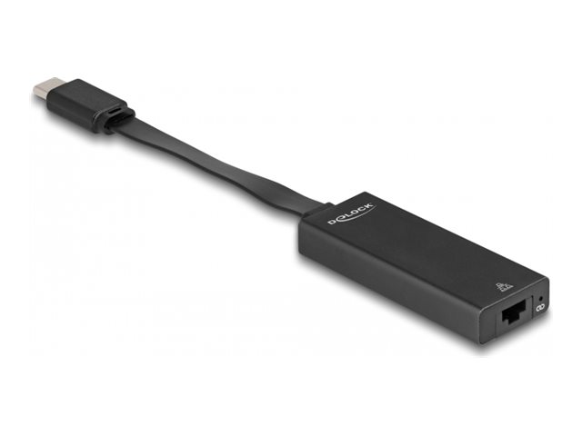 DeLock Netværksadapter Ethernet Fast Ethernet Gigabit Ethernet