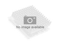 AMD Ryzen 9 PRO 7945 3.7 GHz 12 cores AM5 TRAY - w/cooler