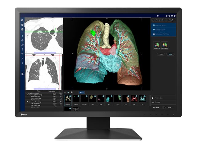 EIZO RadiForce MX243W-BK 24 IPS 1920 x 1200 (WUXGA) DVI DisplayPort 61Hz