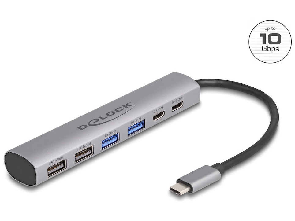 DeLock Hub 6 porte USB 3.2 Gen 2