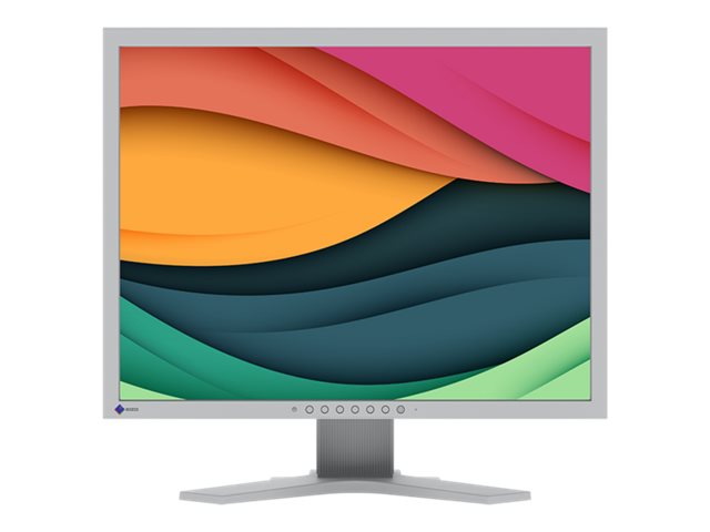 EIZO FlexScan S2134 21.3 IPS 1600 x 1200 DVI VGA (HD-15) DisplayPort 60Hz