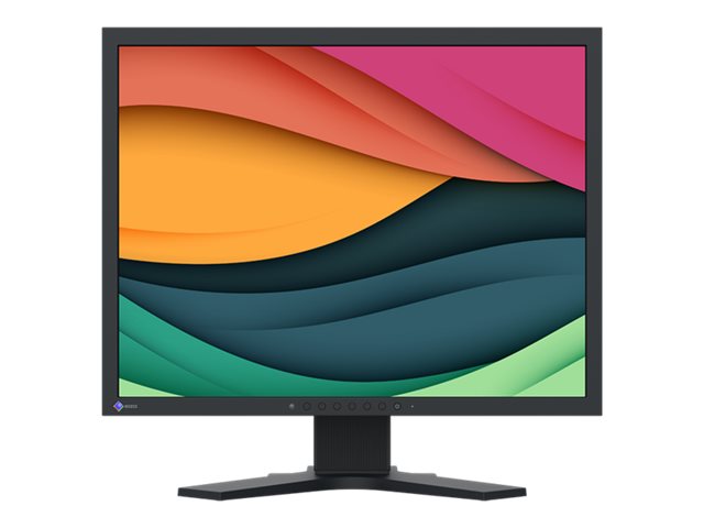 EIZO FlexScan S2134 21.3 IPS 1600 x 1200 DVI VGA (HD-15) DisplayPort 60Hz