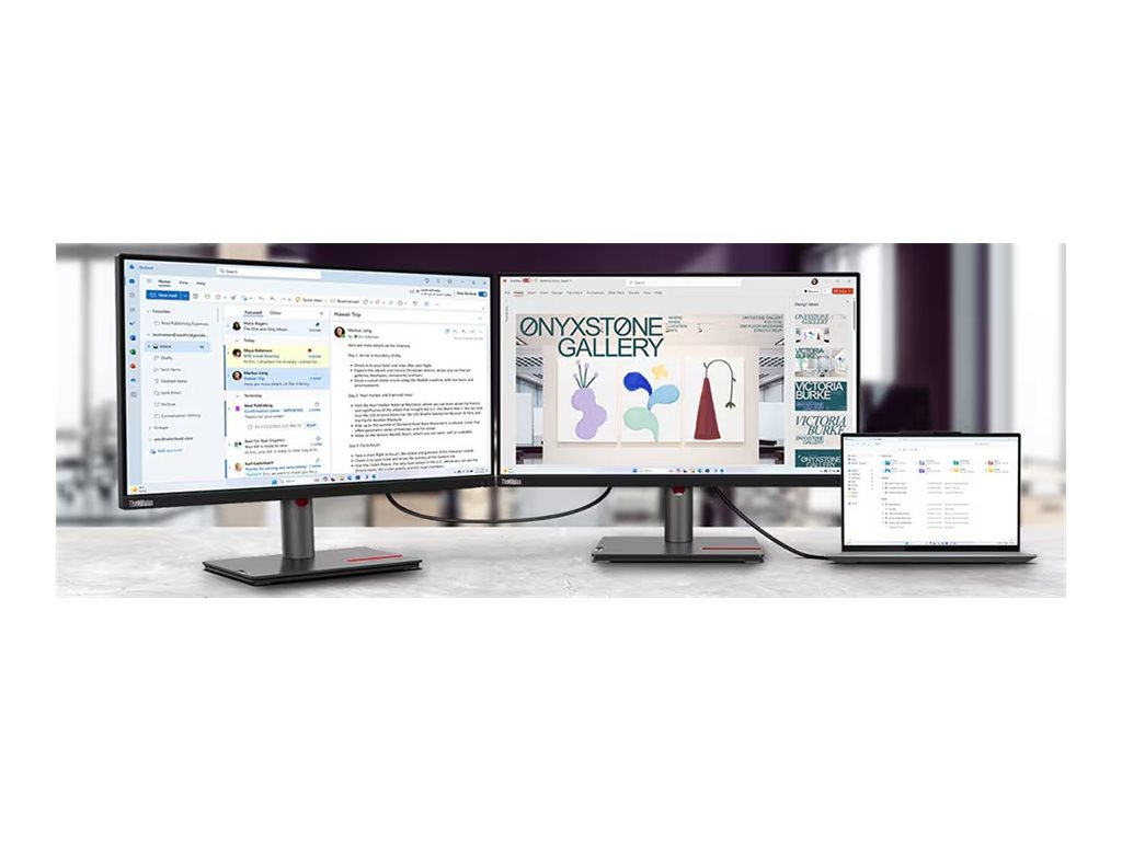 Lenovo ThinkVision P25i-30 25 IPS 1920 x 1080 (Full HD) VGA (HD-15) VGA HDMI DisplayPort 100Hz