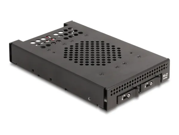 Delock 3.5 Mobile Rack for 2 x M.2 NVMe SSD with OcuLink SFF-8612 connector