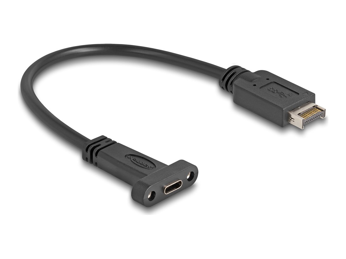 DeLOCK USB / USB 2.0 / USB 3.0 / USB 3.1 / USB 3.2 USB internt kabel 25cm Sort