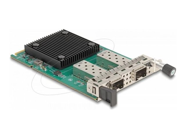 DeLock Netværksadapter 10 Gigabit Ethernet