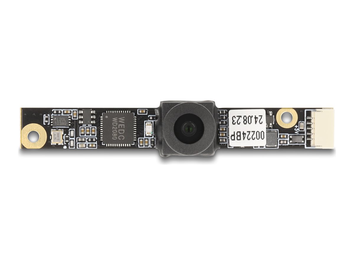 Delock - Overvågningskamera - kort - farve - 5 MP - 2592 x 1944 - USB 2.0 - DC 5 V