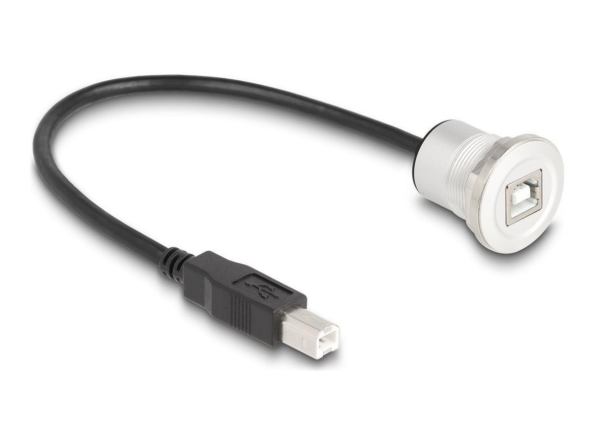 Delock USB forlængerkabel 30cm Sort Sølv