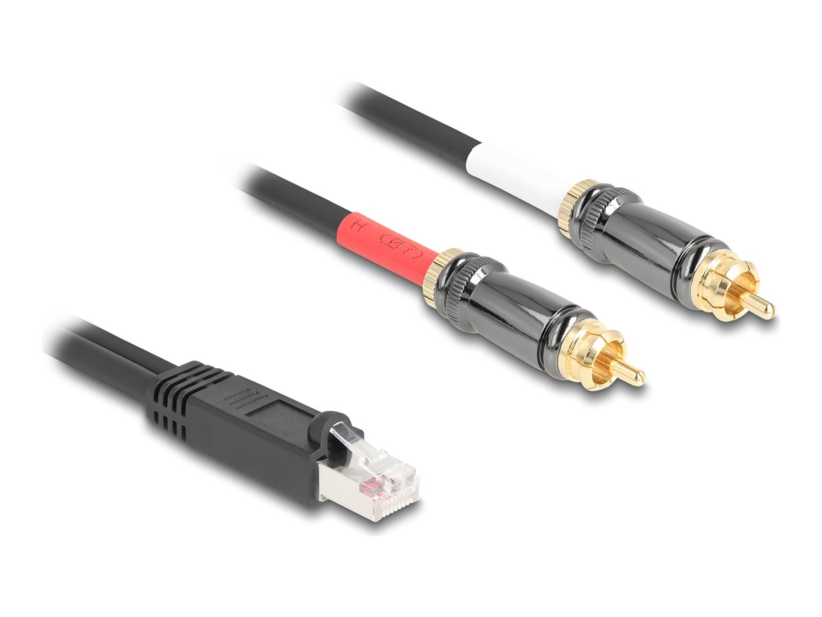 Delock Lyd adapter 2m Sort