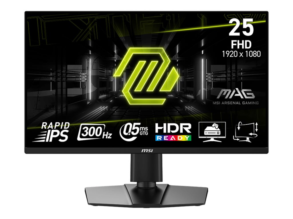 MSI MAG 255PXF 25 Fast IPS 1920 x 1080 (Full HD) HDMI DisplayPort 300Hz