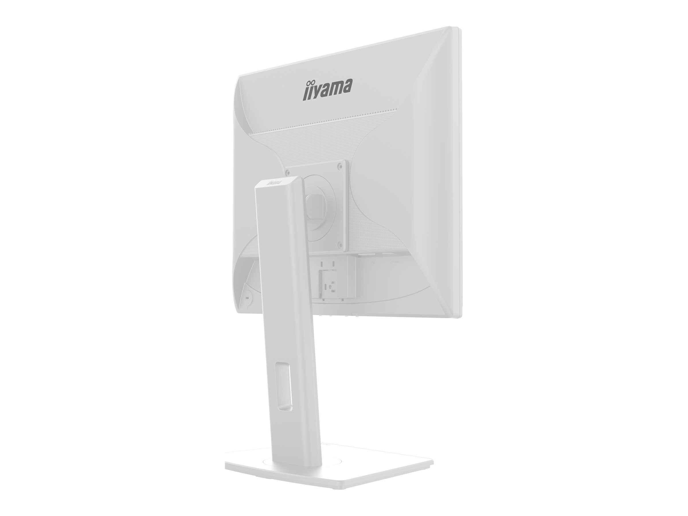 iiyama ProLite B1980S-W1 19 TN 1280 x 1024 HDMI DisplayPort 75Hz