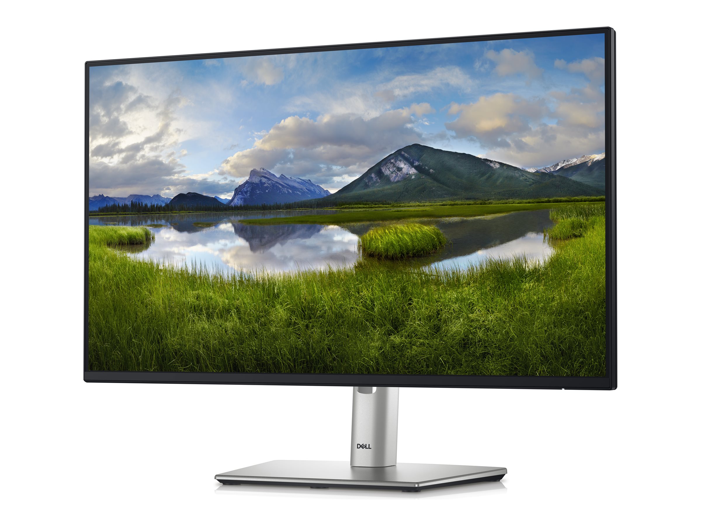 DELL P Series P2425H 24 IPS 1920 x 1080 (Full HD) DisplayPort HDMI USB-C 100 Hz