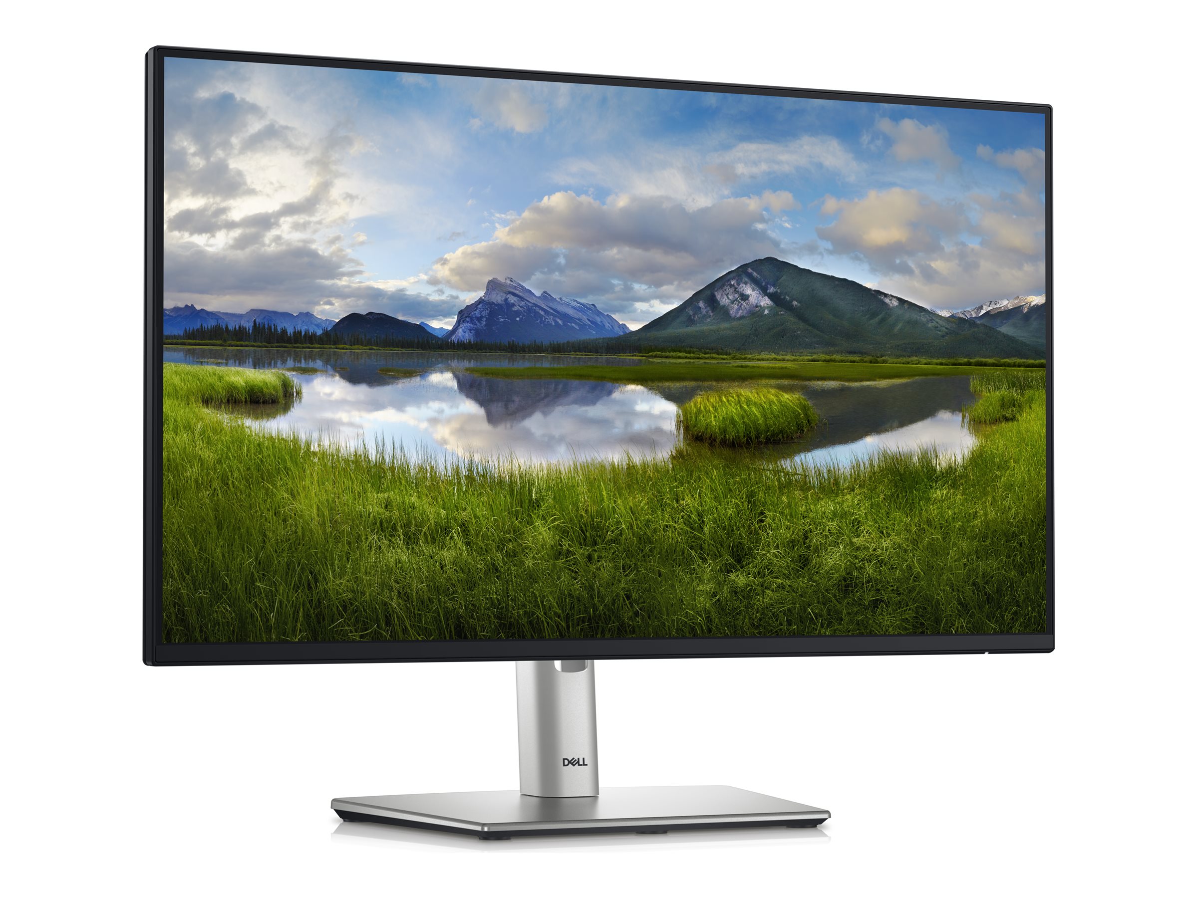 DELL P Series P2425HE 24 IPS 1920 x 1080 (Full HD) DisplayPort HDMI USB-C 100 Hz