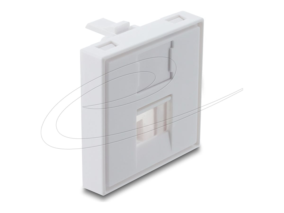 Delock Easy 45 - keystone-modulholder - med støvkappe, 45 x 45 mm - hvid