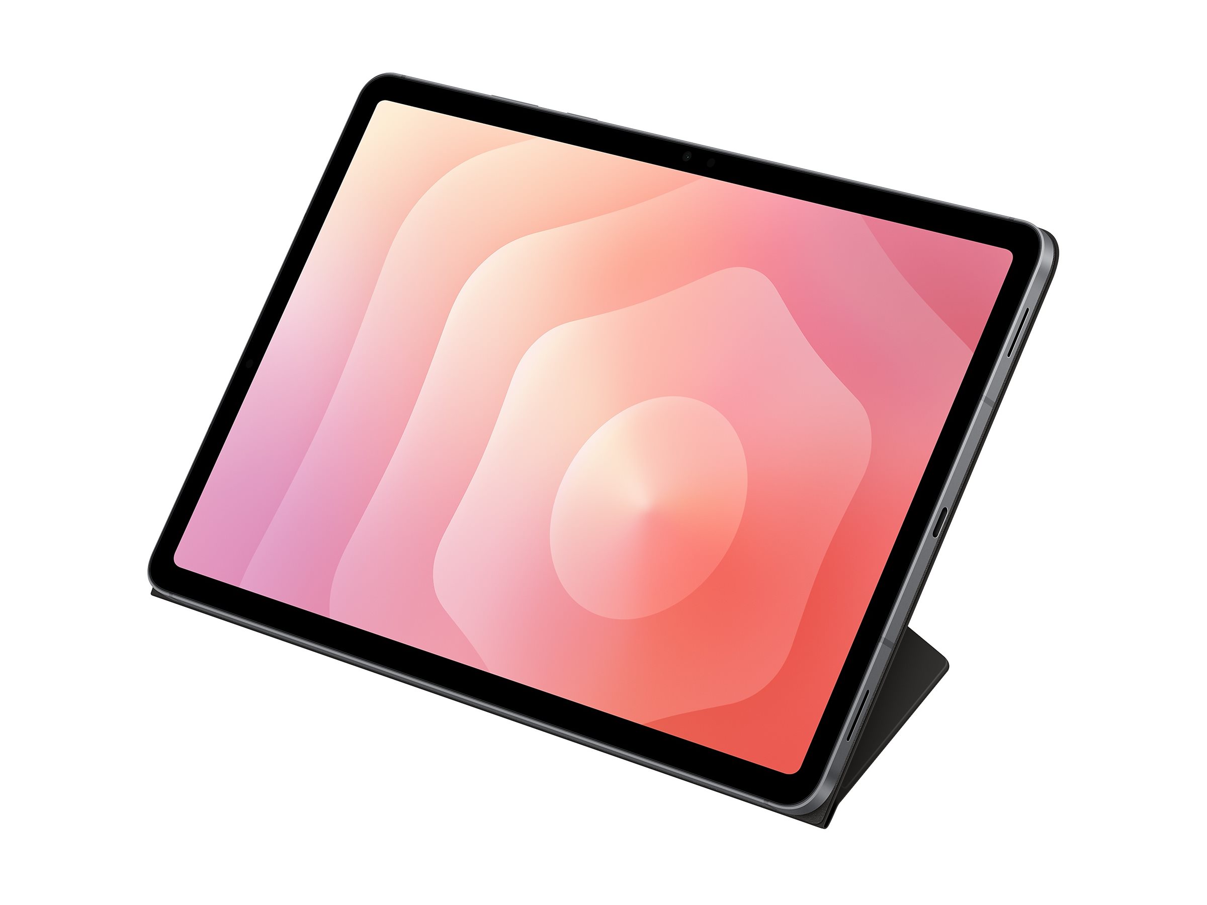 Samsung Beskyttelsescover Sort Samsung Galaxy Tab S11
