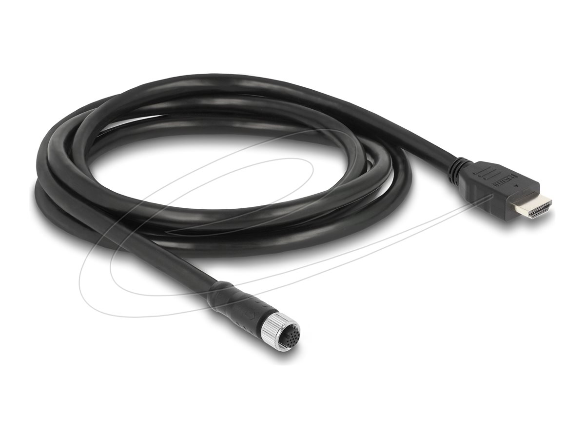 Delock Videoadapterkabel 2m Sort
