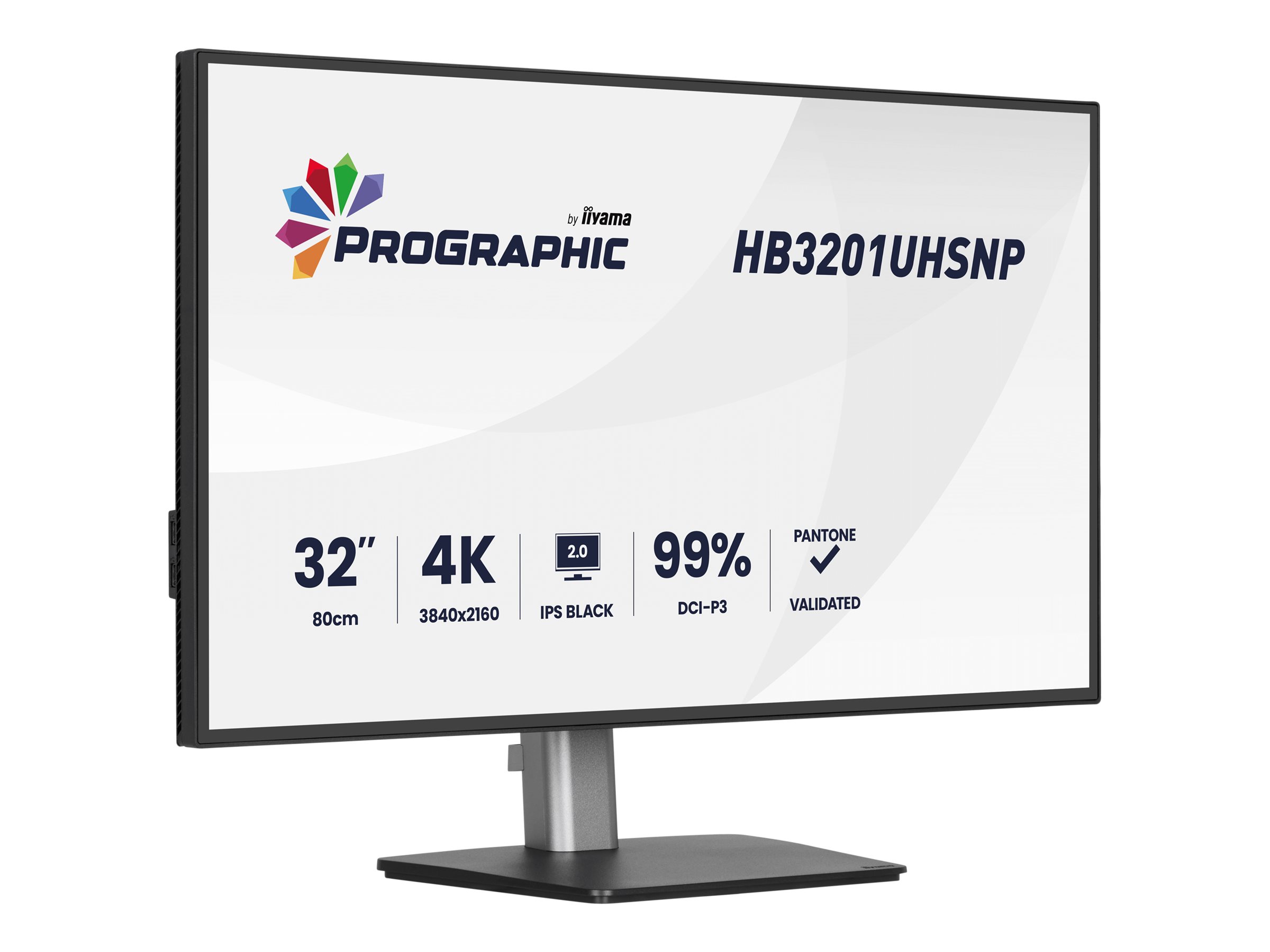 Iiyama ProGraphic HB3201UHSNP-B1 31.5 IPS Black 2.0 3840 x 2160 (4K) HDMI DisplayPort USB-C 60Hz Dockingskærm