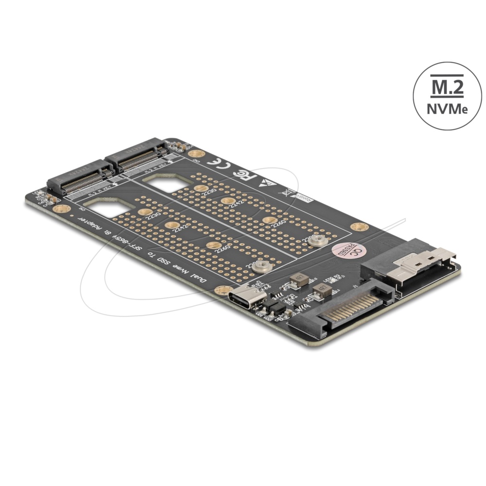 Delock SAS til 2x M.2 Key M NVMe SSD Converter