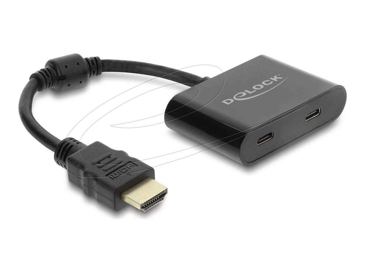 Delock Videoadapterkabel Sort