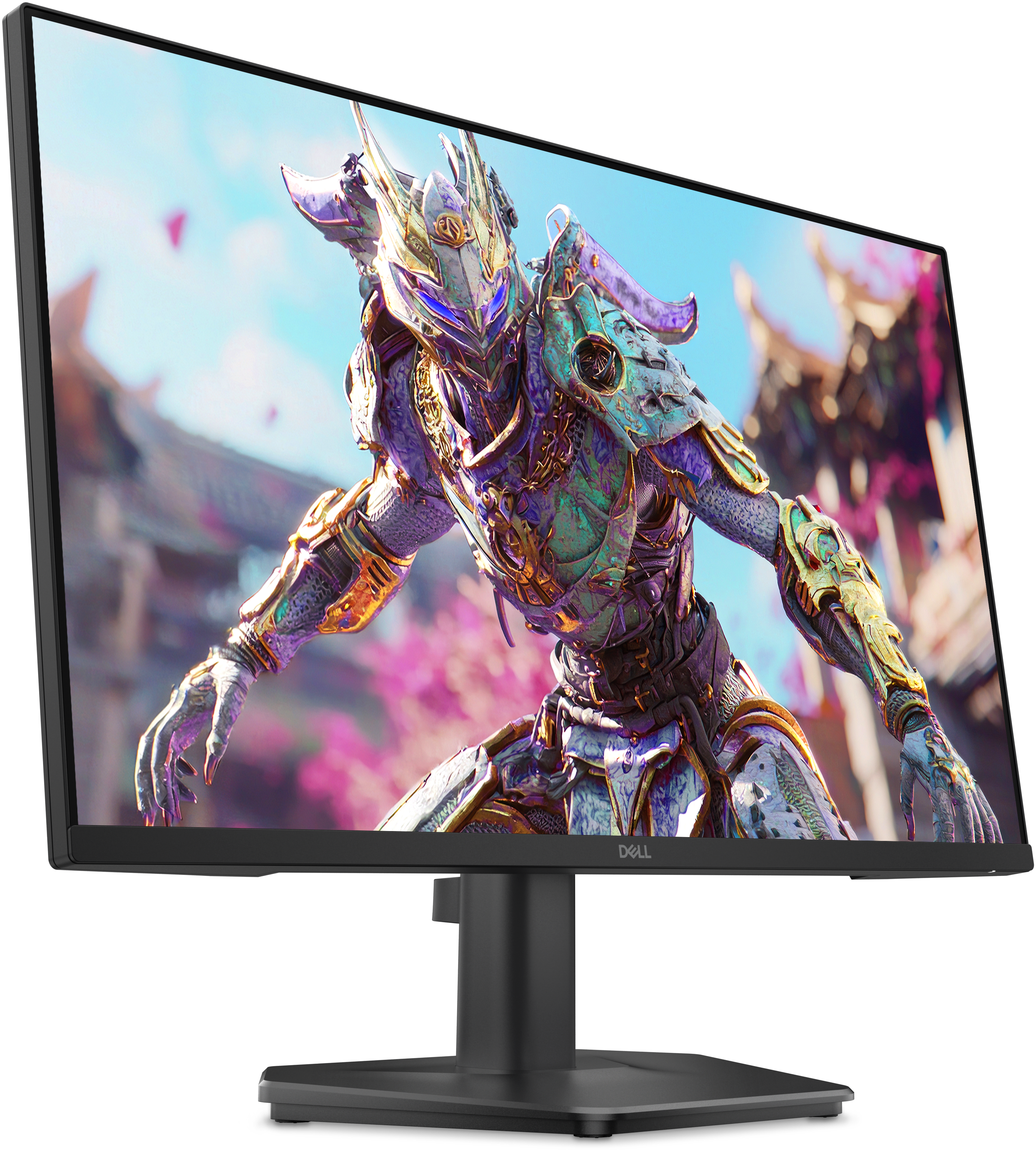 DELL SE2426HG 23.8 IPS 1920 x 1080 (Full HD) HDMI DisplayPort 240 Hz