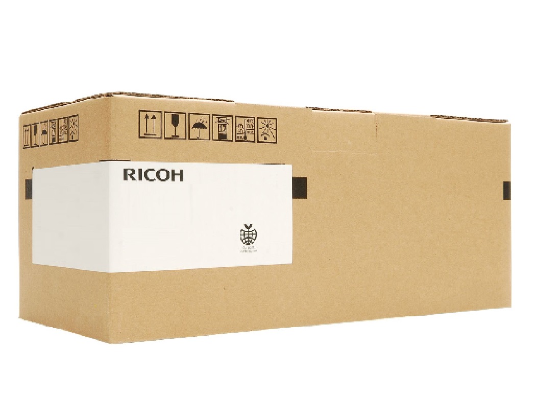 Ricoh D1979641 fremkaldelsesenhed 120000 Sider