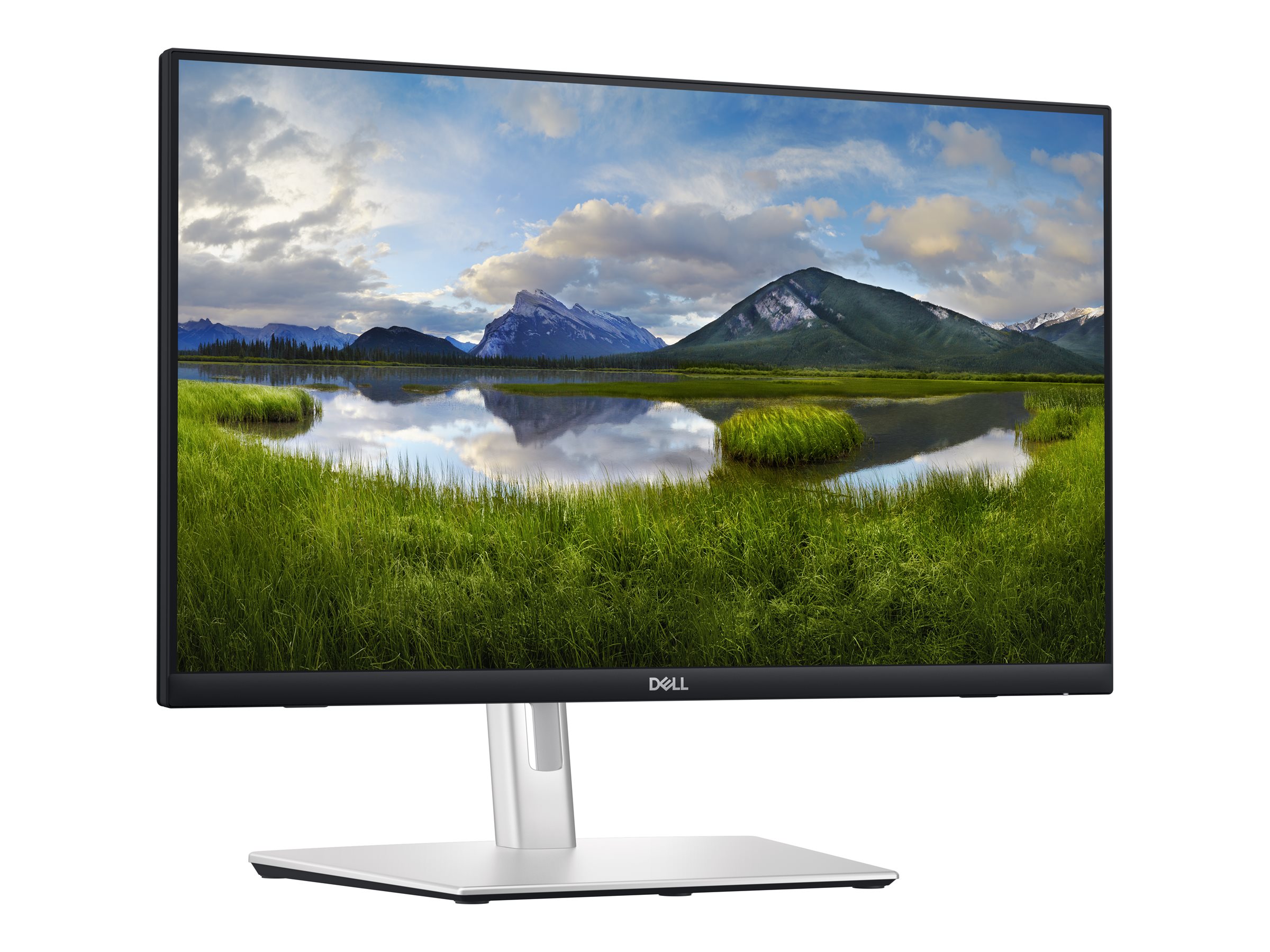 DELL P Series P2424HT computer monitor 60.5 cm (23.8") 1920 x 1080 pixels Full HD LCD Touchscreen Black, Silver