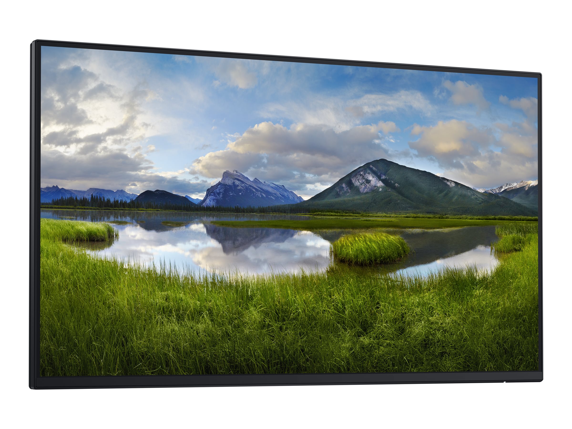 DELL Pro Plus P2425HE computer monitor 60.5 cm (23.8") 1920 x 1080 pixels Full HD LCD Black