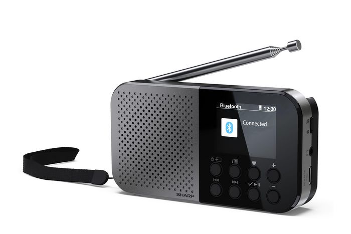 Dr-P520 Personal Digital Grey