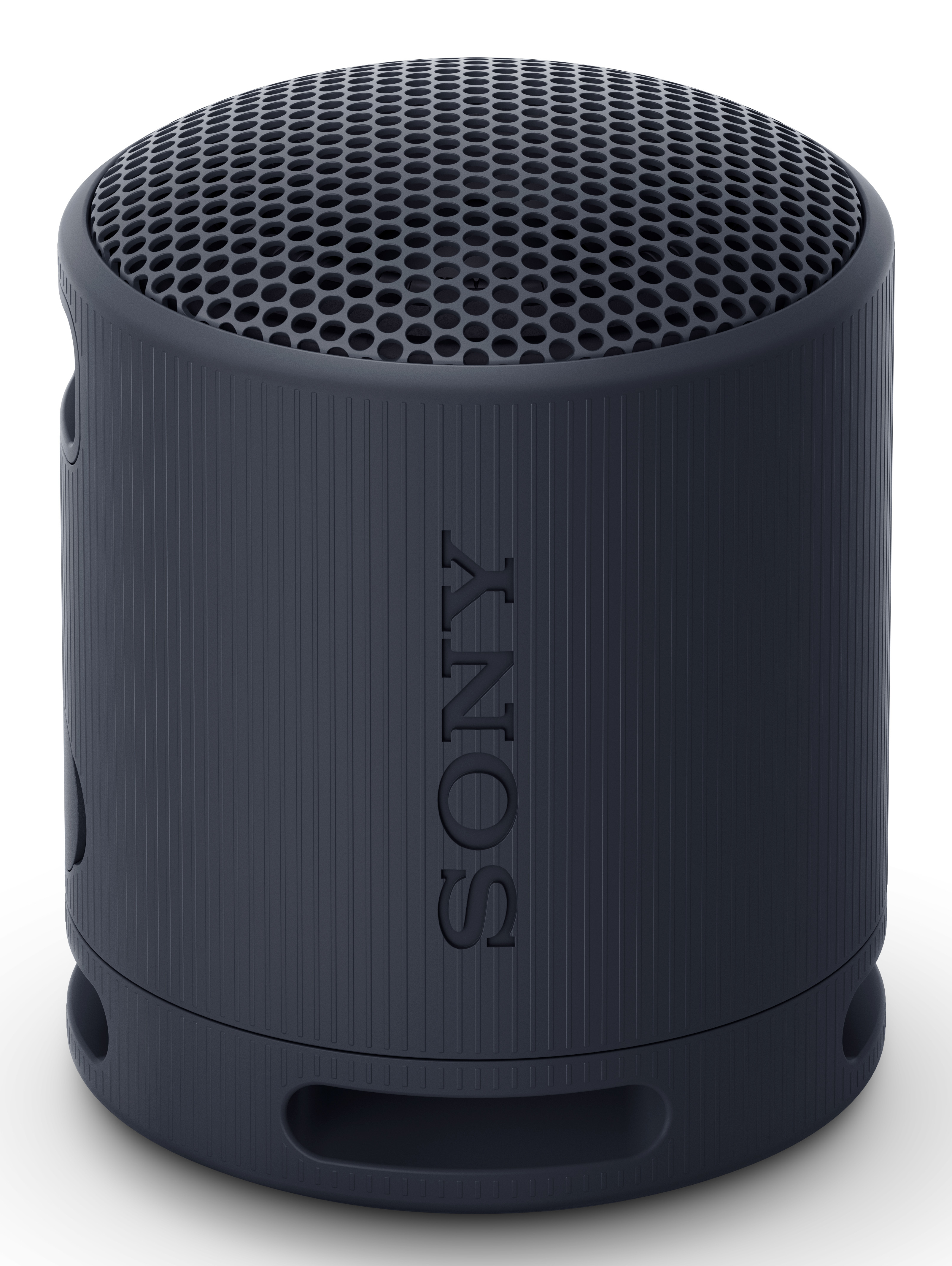 Sony SRS-XB100 Højttaler Sort