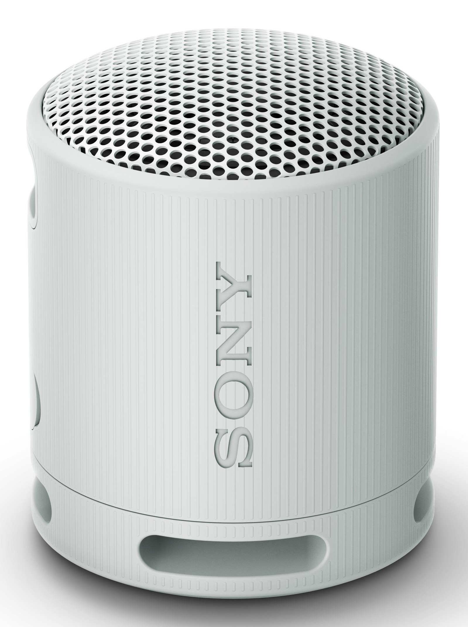 Sony SRS-XB100 Højttaler Grå