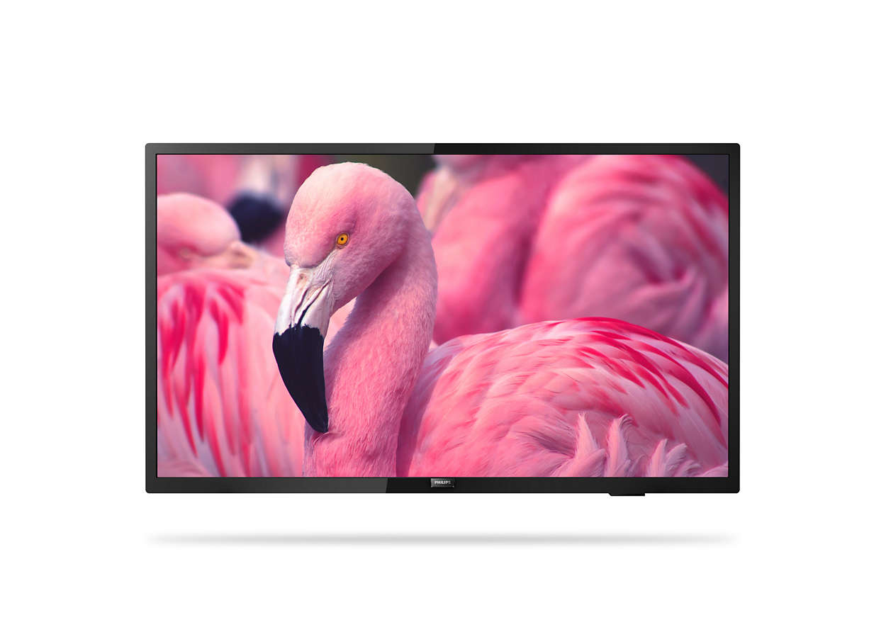 Philips 43HFL4014 Professional PrimeSu