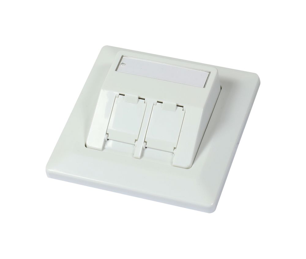 Keystone, module carrier, flush-mounted boxes for 2xTP modules, pure white, suitable for round flush-mounted/cavity boxes, 27 degree outlet, Synergy 21