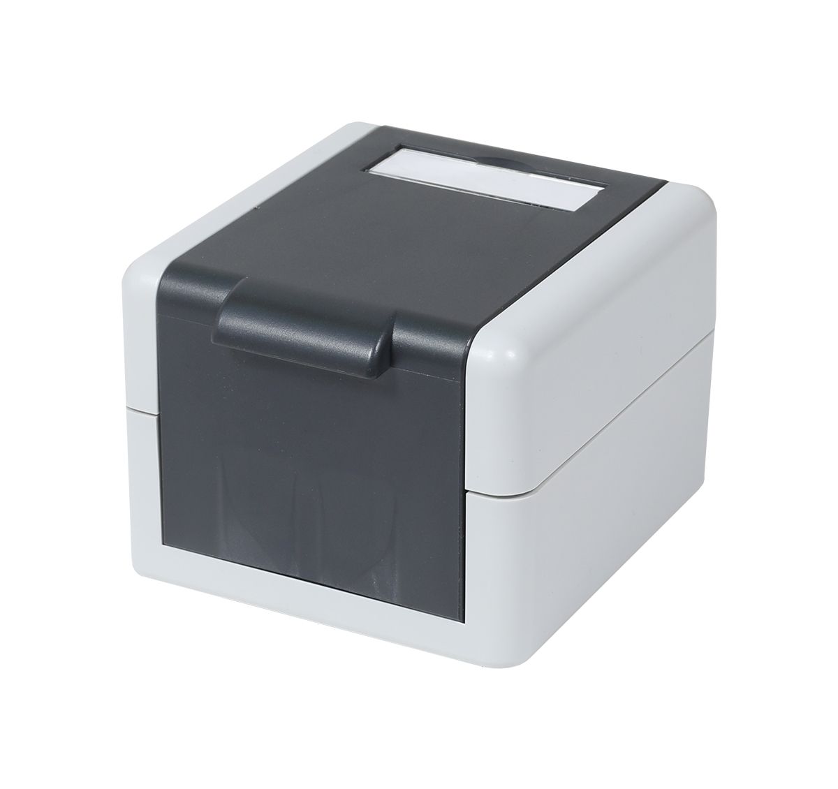 Keystone, module carrier, surface-mounted housing IP44, with mounting insert for 2xKeystone modules, Synergy 21,