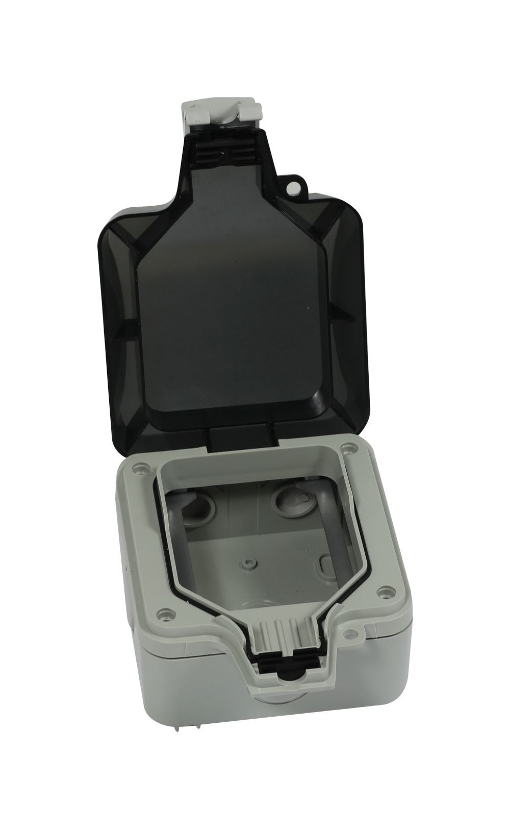 Keystone, module carrier, surface-mounted housing IP66, with tab for ring lock, Synergy 21