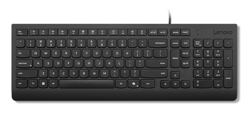 LENOVO ESSENTIAL WIRED KEYBOARD - SWEDISH / FINNISH