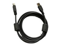 Rally UltraHD ConfCam-N/A-3.0 A TO B CBL