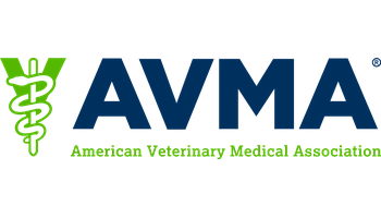 AVM