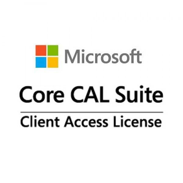 Microsoft Microsoft Core CAL, Ent, 1 CAL, Lvl E, MOLP: Open Value Subscription, Win, ML