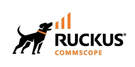 Ruckus 1m 25GBase-kabel til direkte påsætning