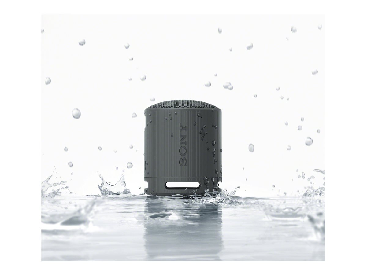 Sony SRS-XB100 - Wireless Bluetooth Portable Speaker, Durable IP67 Waterproof & Dustproof, 16 Hour Battery, Eco, Outdoor and Travel in Black