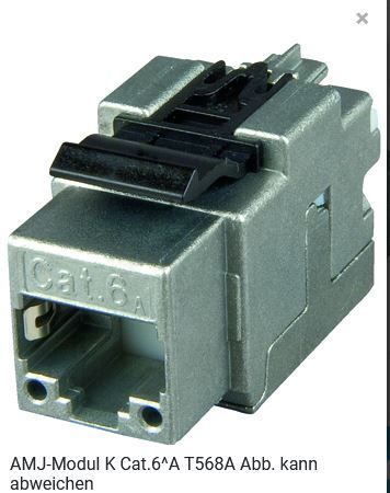 Telegärtner Module, AMJ, CAT6A, TP/LSA, Snap-In, 2-Pack, T568A, (Keystone)