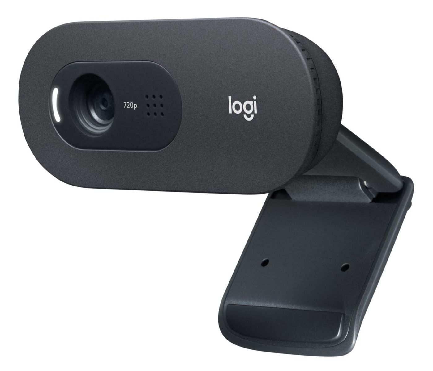 Logitech C505e Webcam