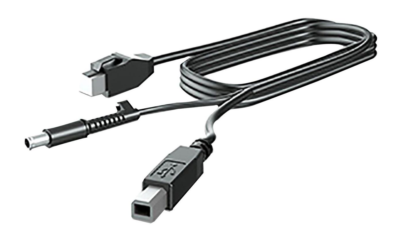 300CM DP+USB PWR CABLE